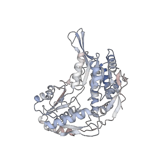 27176_8d46_B_v1-0
Cryo-electron microscopy structure of human kidney Aldehyde Dehydrogenase 1A1