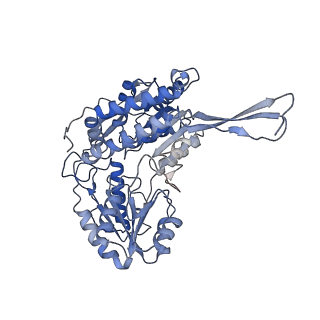 27176_8d46_C_v1-0
Cryo-electron microscopy structure of human kidney Aldehyde Dehydrogenase 1A1