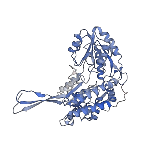 27176_8d46_D_v1-0
Cryo-electron microscopy structure of human kidney Aldehyde Dehydrogenase 1A1