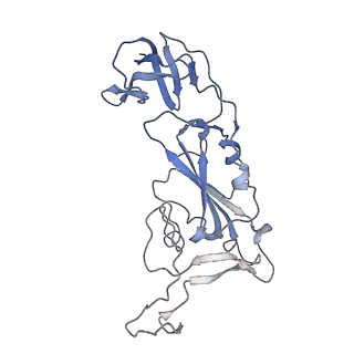 27177_8d48_A_v1-2
sd1.040 Fab in complex with SARS-CoV-2 Spike 2P glycoprotein