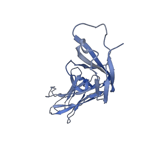 27177_8d48_H_v1-2
sd1.040 Fab in complex with SARS-CoV-2 Spike 2P glycoprotein