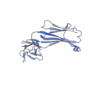27177_8d48_L_v1-2
sd1.040 Fab in complex with SARS-CoV-2 Spike 2P glycoprotein