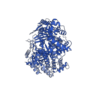27178_8d49_A_v1-1
Structure of Cas12a2 binary complex