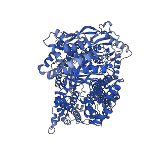 27180_8d4b_A_v1-1
Structure of Cas12a2 ternary complex