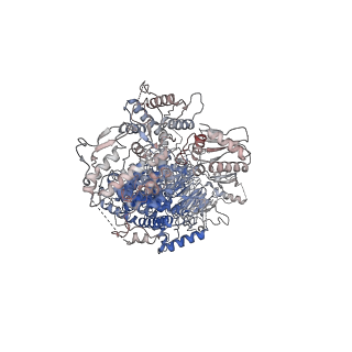 27201_8d4x_A_v1-2
Structure of the human UBR5 HECT-type E3 ubiquitin ligase in a dimeric form