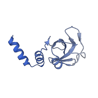 30572_7d4f_G_v1-3
Structure of COVID-19 RNA-dependent RNA polymerase bound to suramin