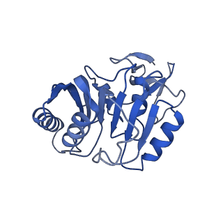 30574_7d4i_3C_v1-0
Cryo-EM structure of 90S small ribosomal precursors complex with the DEAH-box RNA helicase Dhr1 (State F)