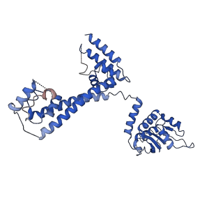 30574_7d4i_3D_v1-0
Cryo-EM structure of 90S small ribosomal precursors complex with the DEAH-box RNA helicase Dhr1 (State F)