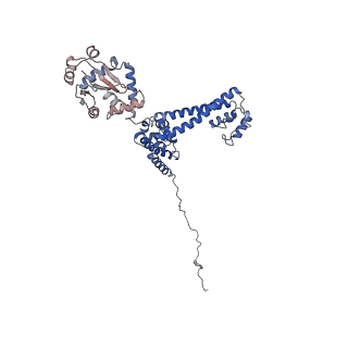 30574_7d4i_3E_v1-0
Cryo-EM structure of 90S small ribosomal precursors complex with the DEAH-box RNA helicase Dhr1 (State F)