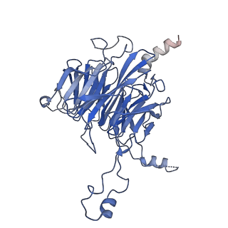 30574_7d4i_3F_v1-0
Cryo-EM structure of 90S small ribosomal precursors complex with the DEAH-box RNA helicase Dhr1 (State F)