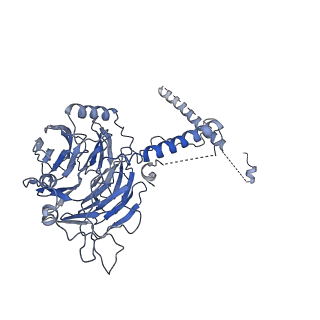 30574_7d4i_5C_v1-0
Cryo-EM structure of 90S small ribosomal precursors complex with the DEAH-box RNA helicase Dhr1 (State F)