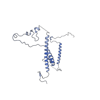 30574_7d4i_5D_v1-0
Cryo-EM structure of 90S small ribosomal precursors complex with the DEAH-box RNA helicase Dhr1 (State F)