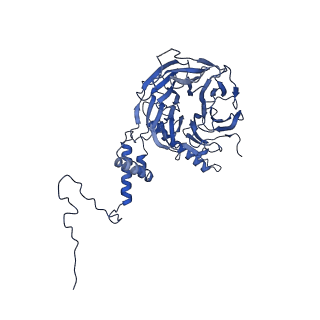 30574_7d4i_5I_v1-0
Cryo-EM structure of 90S small ribosomal precursors complex with the DEAH-box RNA helicase Dhr1 (State F)