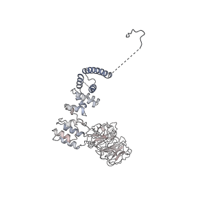 30574_7d4i_A8_v1-0
Cryo-EM structure of 90S small ribosomal precursors complex with the DEAH-box RNA helicase Dhr1 (State F)
