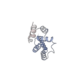 30574_7d4i_A9_v1-0
Cryo-EM structure of 90S small ribosomal precursors complex with the DEAH-box RNA helicase Dhr1 (State F)