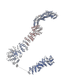 30574_7d4i_AE_v1-0
Cryo-EM structure of 90S small ribosomal precursors complex with the DEAH-box RNA helicase Dhr1 (State F)