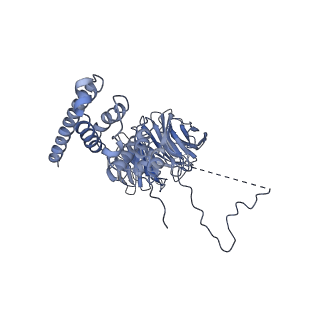 30574_7d4i_AF_v1-0
Cryo-EM structure of 90S small ribosomal precursors complex with the DEAH-box RNA helicase Dhr1 (State F)