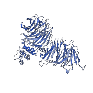 30574_7d4i_B1_v1-0
Cryo-EM structure of 90S small ribosomal precursors complex with the DEAH-box RNA helicase Dhr1 (State F)