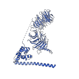 30574_7d4i_B2_v1-0
Cryo-EM structure of 90S small ribosomal precursors complex with the DEAH-box RNA helicase Dhr1 (State F)