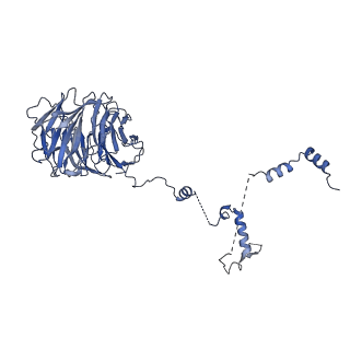 30574_7d4i_B8_v1-0
Cryo-EM structure of 90S small ribosomal precursors complex with the DEAH-box RNA helicase Dhr1 (State F)