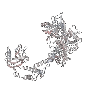 30574_7d4i_M4_v1-0
Cryo-EM structure of 90S small ribosomal precursors complex with the DEAH-box RNA helicase Dhr1 (State F)