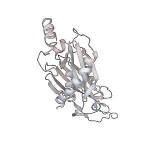 30574_7d4i_R2_v1-0
Cryo-EM structure of 90S small ribosomal precursors complex with the DEAH-box RNA helicase Dhr1 (State F)