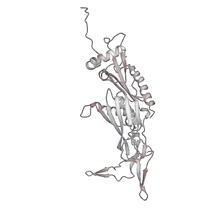 30574_7d4i_R3_v1-0
Cryo-EM structure of 90S small ribosomal precursors complex with the DEAH-box RNA helicase Dhr1 (State F)