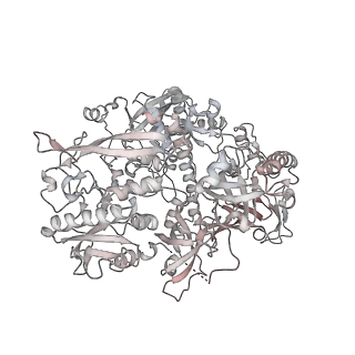 30574_7d4i_R4_v1-0
Cryo-EM structure of 90S small ribosomal precursors complex with the DEAH-box RNA helicase Dhr1 (State F)
