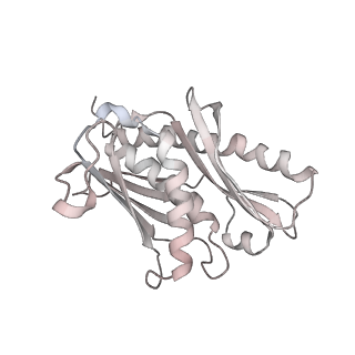 30574_7d4i_R6_v1-0
Cryo-EM structure of 90S small ribosomal precursors complex with the DEAH-box RNA helicase Dhr1 (State F)