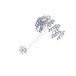 30574_7d4i_RD_v1-0
Cryo-EM structure of 90S small ribosomal precursors complex with the DEAH-box RNA helicase Dhr1 (State F)