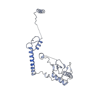 30574_7d4i_RF_v1-0
Cryo-EM structure of 90S small ribosomal precursors complex with the DEAH-box RNA helicase Dhr1 (State F)