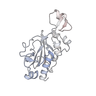30574_7d4i_RG_v1-0
Cryo-EM structure of 90S small ribosomal precursors complex with the DEAH-box RNA helicase Dhr1 (State F)