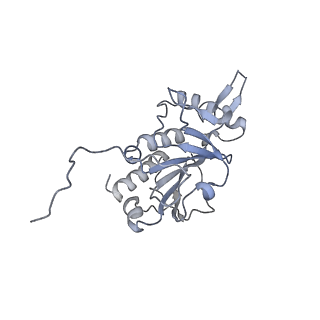 30574_7d4i_RH_v1-0
Cryo-EM structure of 90S small ribosomal precursors complex with the DEAH-box RNA helicase Dhr1 (State F)