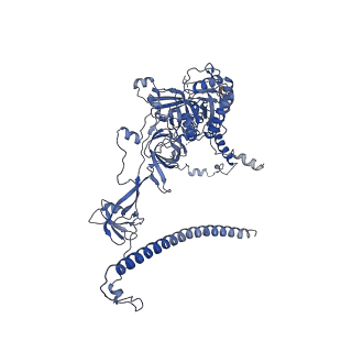 30574_7d4i_RJ_v1-0
Cryo-EM structure of 90S small ribosomal precursors complex with the DEAH-box RNA helicase Dhr1 (State F)