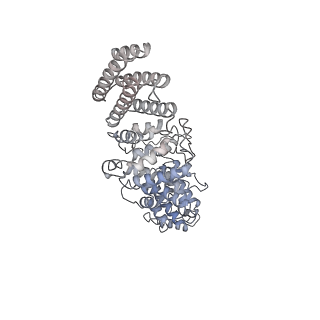 30574_7d4i_RO_v1-0
Cryo-EM structure of 90S small ribosomal precursors complex with the DEAH-box RNA helicase Dhr1 (State F)