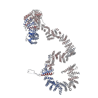 30574_7d4i_RP_v1-0
Cryo-EM structure of 90S small ribosomal precursors complex with the DEAH-box RNA helicase Dhr1 (State F)