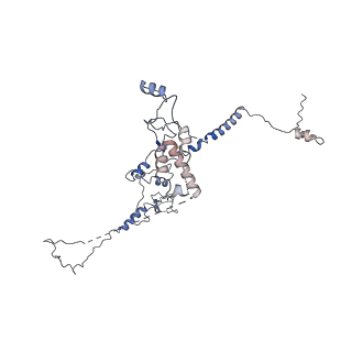 30574_7d4i_RQ_v1-0
Cryo-EM structure of 90S small ribosomal precursors complex with the DEAH-box RNA helicase Dhr1 (State F)