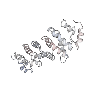 30574_7d4i_RS_v1-0
Cryo-EM structure of 90S small ribosomal precursors complex with the DEAH-box RNA helicase Dhr1 (State F)