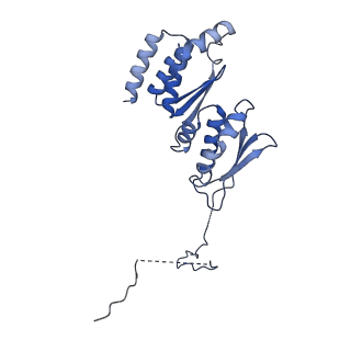 30574_7d4i_RT_v1-0
Cryo-EM structure of 90S small ribosomal precursors complex with the DEAH-box RNA helicase Dhr1 (State F)