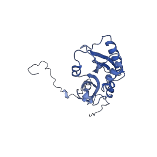 30574_7d4i_SC_v1-0
Cryo-EM structure of 90S small ribosomal precursors complex with the DEAH-box RNA helicase Dhr1 (State F)