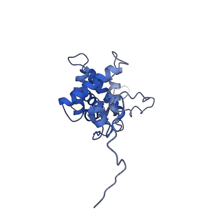30574_7d4i_SG_v1-0
Cryo-EM structure of 90S small ribosomal precursors complex with the DEAH-box RNA helicase Dhr1 (State F)