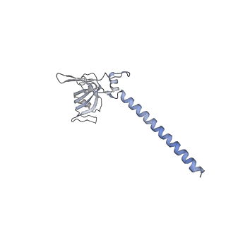 30574_7d4i_SH_v1-0
Cryo-EM structure of 90S small ribosomal precursors complex with the DEAH-box RNA helicase Dhr1 (State F)