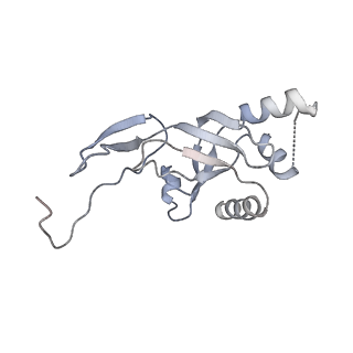 30574_7d4i_SJ_v1-0
Cryo-EM structure of 90S small ribosomal precursors complex with the DEAH-box RNA helicase Dhr1 (State F)