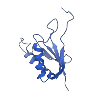 30574_7d4i_SP_v1-0
Cryo-EM structure of 90S small ribosomal precursors complex with the DEAH-box RNA helicase Dhr1 (State F)