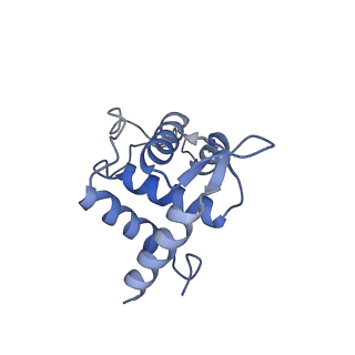 30574_7d4i_SU_v1-0
Cryo-EM structure of 90S small ribosomal precursors complex with the DEAH-box RNA helicase Dhr1 (State F)