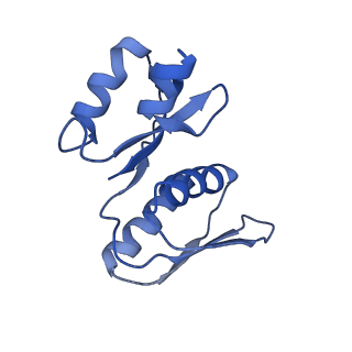 30574_7d4i_SX_v1-0
Cryo-EM structure of 90S small ribosomal precursors complex with the DEAH-box RNA helicase Dhr1 (State F)