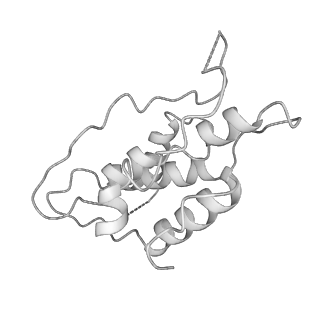 30574_7d4i_X2_v1-0
Cryo-EM structure of 90S small ribosomal precursors complex with the DEAH-box RNA helicase Dhr1 (State F)
