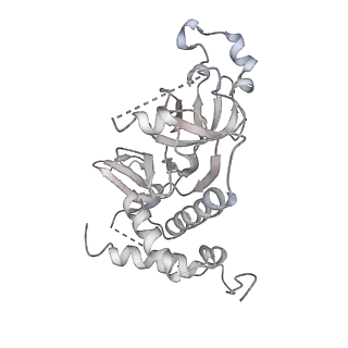 30574_7d4i_r4_v1-0
Cryo-EM structure of 90S small ribosomal precursors complex with the DEAH-box RNA helicase Dhr1 (State F)