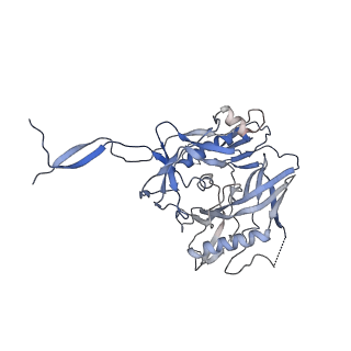 27208_8d5c_B_v1-2
anti-HIV-1 gp120-sCD4 complex antibody CG10 Fab in complex with B41-sCD4