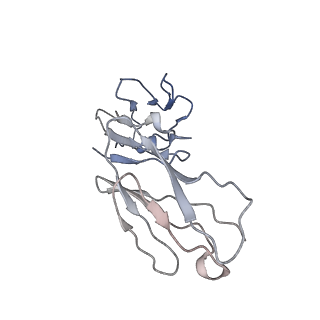27208_8d5c_D_v1-2
anti-HIV-1 gp120-sCD4 complex antibody CG10 Fab in complex with B41-sCD4